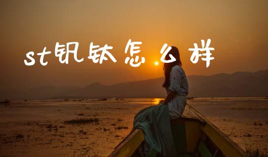 st钒钛怎么样_https://m.qmgjg.com_资金管理_第1张