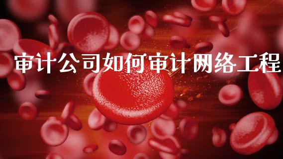 审计公司如何审计网络工程_货币基金_第1张_资金管理_投资银行_金融市场_货币基金 审计公司如何审计网络工程_https://m.qmgjg.com_货币基金_第1张