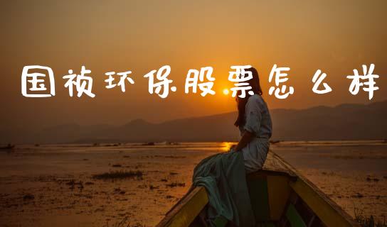 国祯环保股票怎么样_https://m.qmgjg.com_货币基金_第1张
