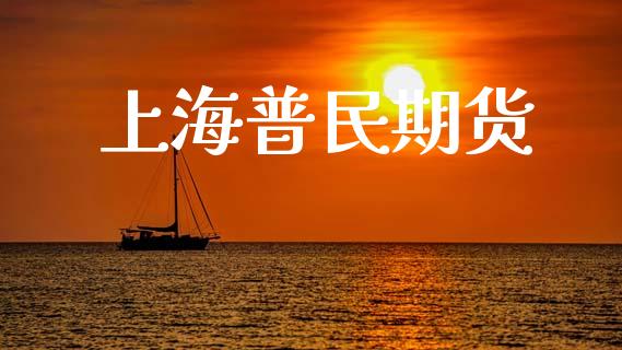 上海普民期货_https://m.qmgjg.com_资金管理_第1张