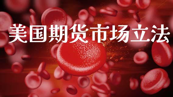 美国期货市场立法_https://m.qmgjg.com_资金管理_第1张
