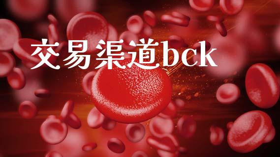 交易渠道bck_https://m.qmgjg.com_投资银行_第1张