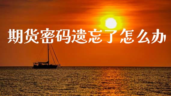 期货密码遗忘了怎么办_https://m.qmgjg.com_货币基金_第1张