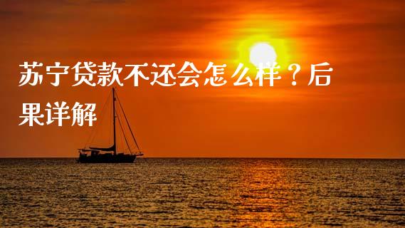 苏宁贷款不还会怎么样？后果详解_https://m.qmgjg.com_投资银行_第1张