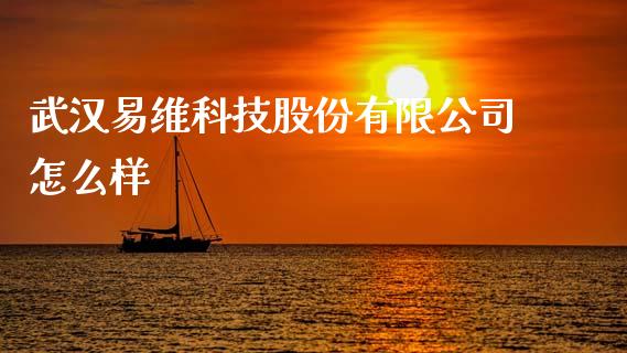 武汉易维科技股份有限公司怎么样_https://m.qmgjg.com_资金管理_第1张