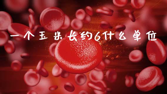 一个玉米长约6什么单位_货币基金_第1张_资金管理_投资银行_金融市场_货币基金 一个玉米长约6什么单位_https://m.qmgjg.com_货币基金_第1张