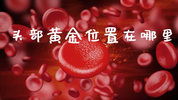 头部黄金位置在哪里_https://m.qmgjg.com_金融市场_第1张