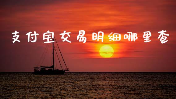 支付宝交易明细哪里查_https://m.qmgjg.com_资金管理_第1张