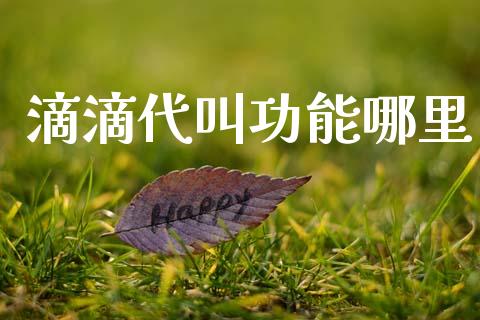 滴滴代叫功能哪里_https://m.qmgjg.com_货币基金_第1张