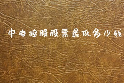 中电控股股票最低多少钱_https://m.qmgjg.com_投资银行_第1张