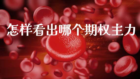 怎样看出哪个期权主力_https://m.qmgjg.com_货币基金_第1张