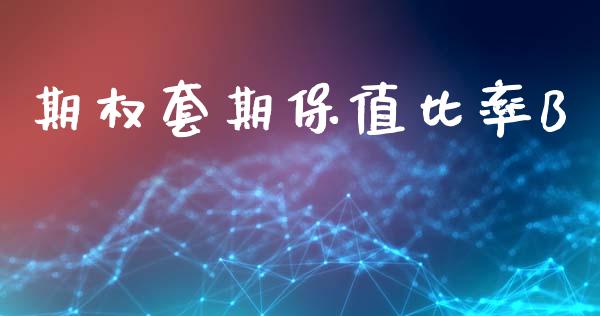 期权套期保值比率B_https://m.qmgjg.com_投资银行_第1张