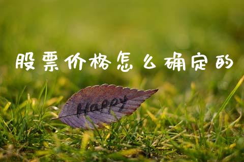 股票价格怎么确定的_https://m.qmgjg.com_货币基金_第1张