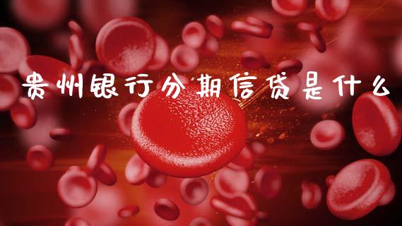 贵州银行分期信贷是什么_https://m.qmgjg.com_资金管理_第1张