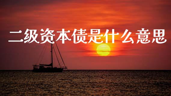 二级资本债是什么意思_https://m.qmgjg.com_投资银行_第1张