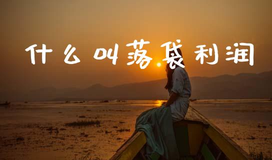 什么叫落袋利润_https://m.qmgjg.com_货币基金_第1张