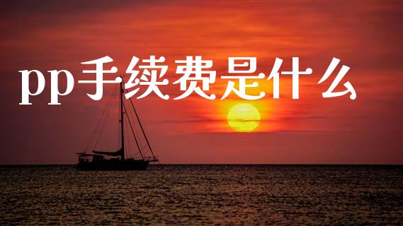 pp手续费是什么_https://m.qmgjg.com_金融市场_第1张