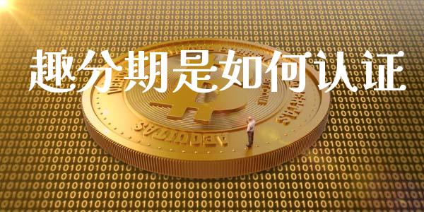 趣分期是如何认证_https://m.qmgjg.com_货币基金_第1张
