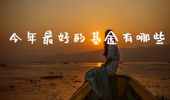 今年最好的基金有哪些_https://m.qmgjg.com_货币基金_第1张