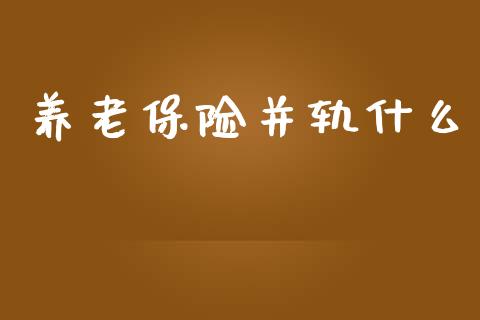 养老保险并轨什么_https://m.qmgjg.com_资金管理_第1张