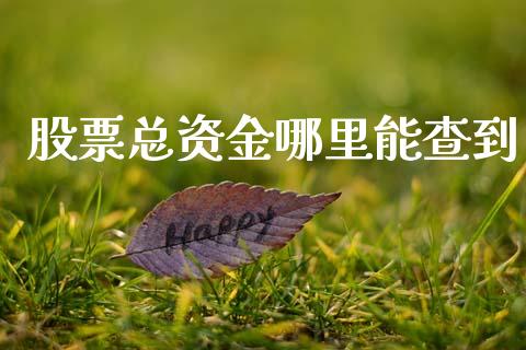 股票总资金哪里能查到_https://m.qmgjg.com_金融市场_第1张