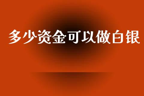 多少资金可以做白银_https://m.qmgjg.com_金融市场_第1张