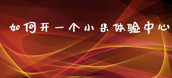 如何开一个小米体验中心_https://m.qmgjg.com_资金管理_第1张