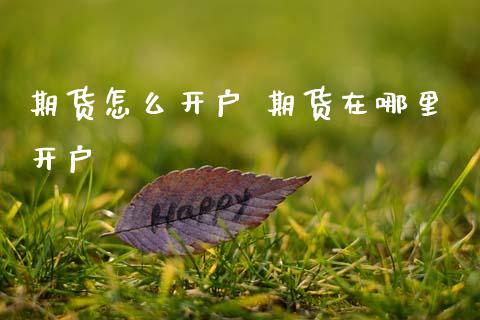 期货怎么开户 期货在哪里开户_https://m.qmgjg.com_金融市场_第1张