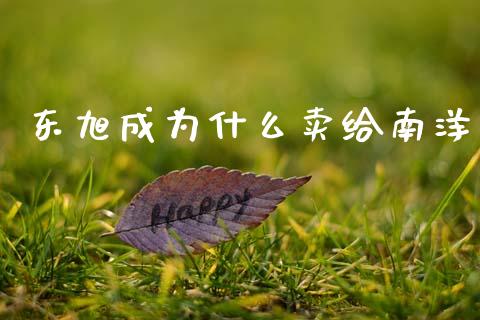 东旭成为什么卖给南洋_https://m.qmgjg.com_货币基金_第1张