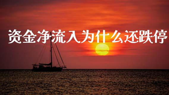 资金净流入为什么还跌停_https://m.qmgjg.com_货币基金_第1张