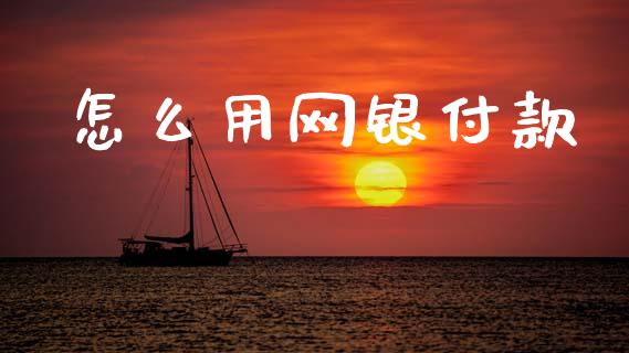 怎么用网银付款_https://m.qmgjg.com_资金管理_第1张