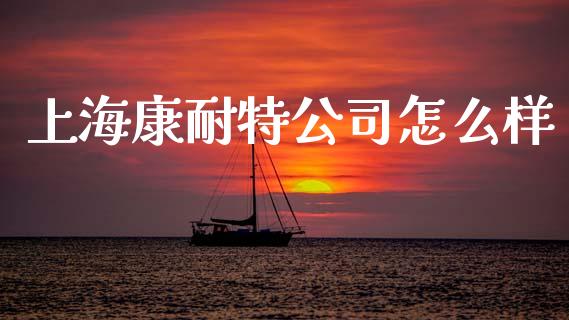 上海康耐特公司怎么样_https://m.qmgjg.com_资金管理_第1张