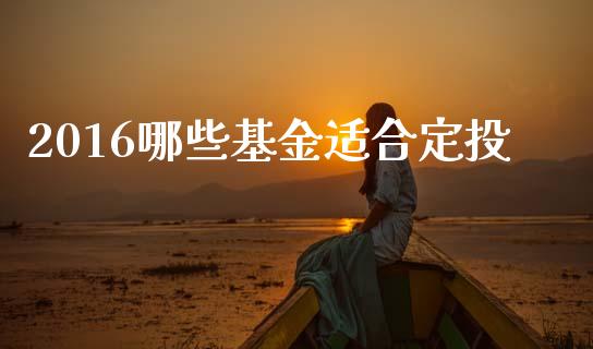 2016哪些基金适合定投_https://m.qmgjg.com_货币基金_第1张