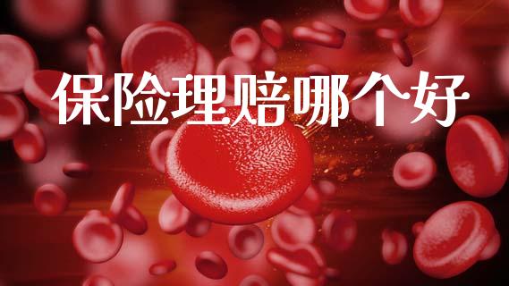 保险理赔哪个好_https://m.qmgjg.com_货币基金_第1张