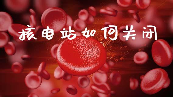 核电站如何关闭_https://m.qmgjg.com_货币基金_第1张