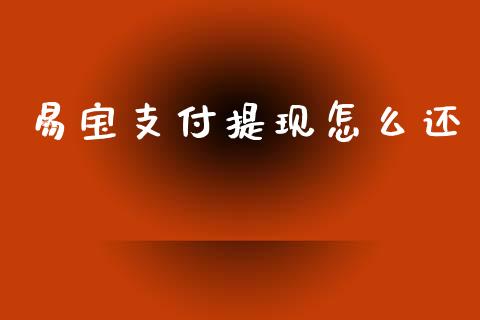 易宝支付提现怎么还_https://m.qmgjg.com_投资银行_第1张
