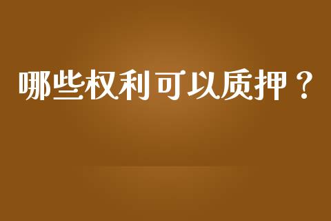 哪些权利可以质押？_https://m.qmgjg.com_货币基金_第1张