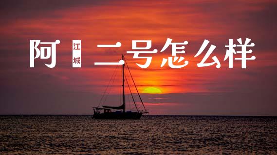 阿鑫二号怎么样_https://m.qmgjg.com_投资银行_第1张