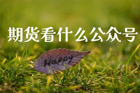 期货看什么公众号_https://m.qmgjg.com_金融市场_第1张