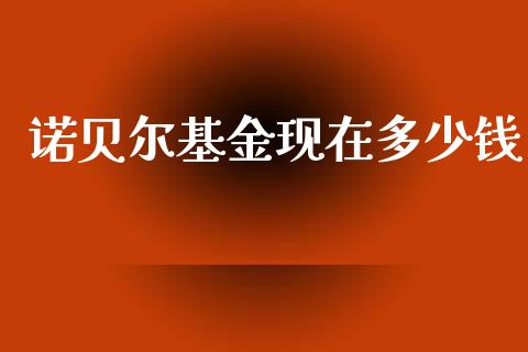 诺贝尔基金现在多少钱_https://m.qmgjg.com_投资银行_第1张