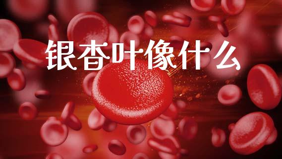 银杳叶像什么_https://m.qmgjg.com_货币基金_第1张