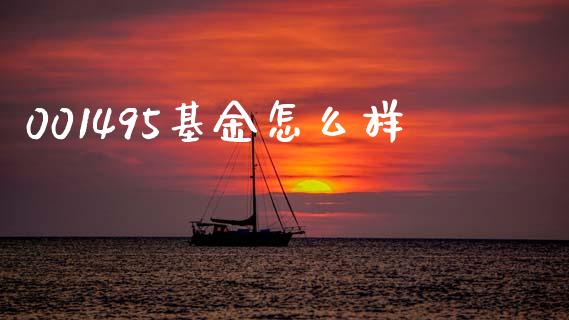 001495基金怎么样_https://m.qmgjg.com_资金管理_第1张