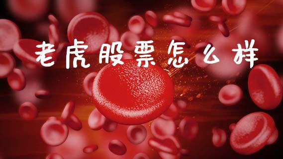 老虎股票怎么样_https://m.qmgjg.com_投资银行_第1张