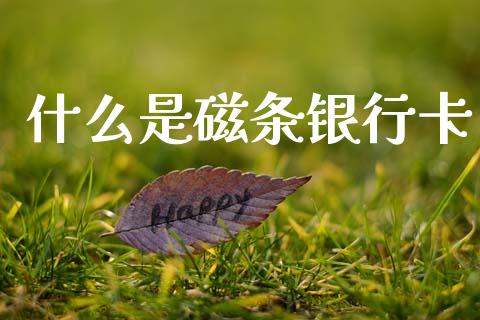 什么是磁条银行卡_https://m.qmgjg.com_资金管理_第1张