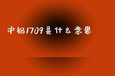 沪铝1709是什么意思_https://m.qmgjg.com_资金管理_第1张