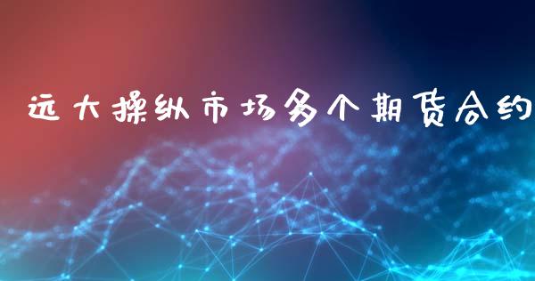 远大操纵市场多个期货合约_https://m.qmgjg.com_投资银行_第1张