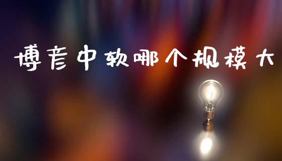 博彦中软哪个规模大_https://m.qmgjg.com_资金管理_第1张