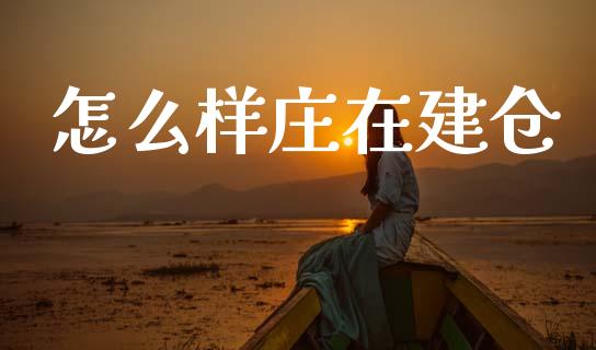 怎么样庄在建仓_https://m.qmgjg.com_货币基金_第1张