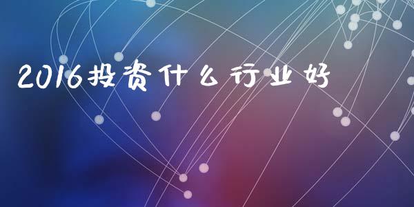2016投资什么行业好_https://m.qmgjg.com_货币基金_第1张