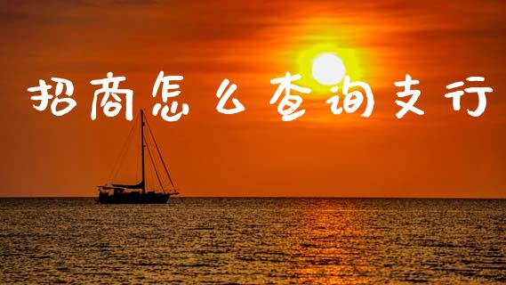 招商怎么查询支行_https://m.qmgjg.com_货币基金_第1张